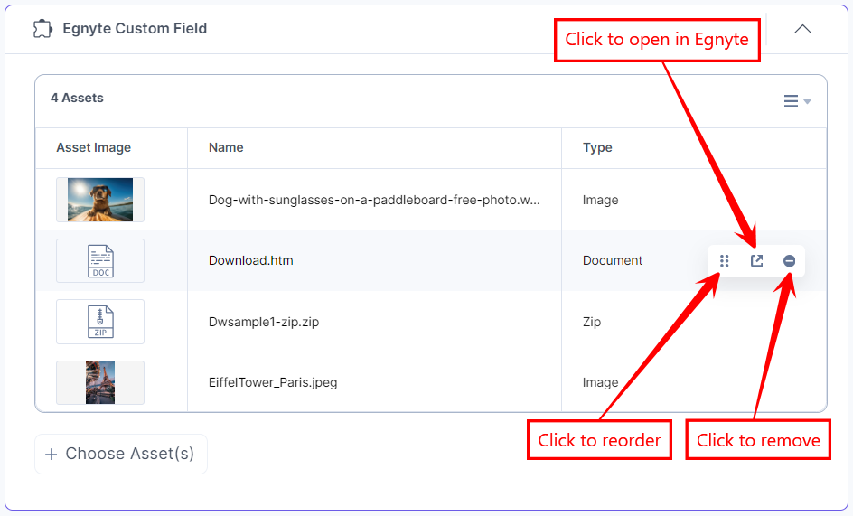 Egnyte-Custom-Field-Assets-View-List-Features